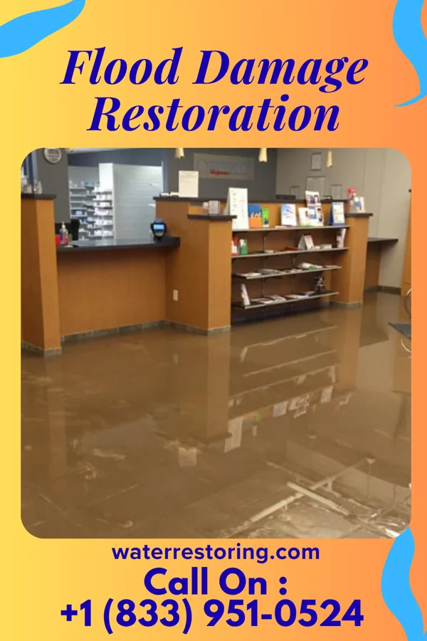 Flood Damage Restoration in Maineville, OH