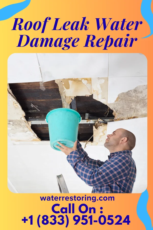 Roof Leak Water Damage Repair in Maineville, OH