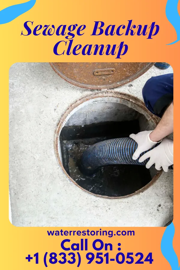 Sewage Backup Cleanup in Maineville, OH