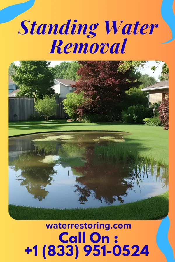 Standing Water Removal in Maineville, OH